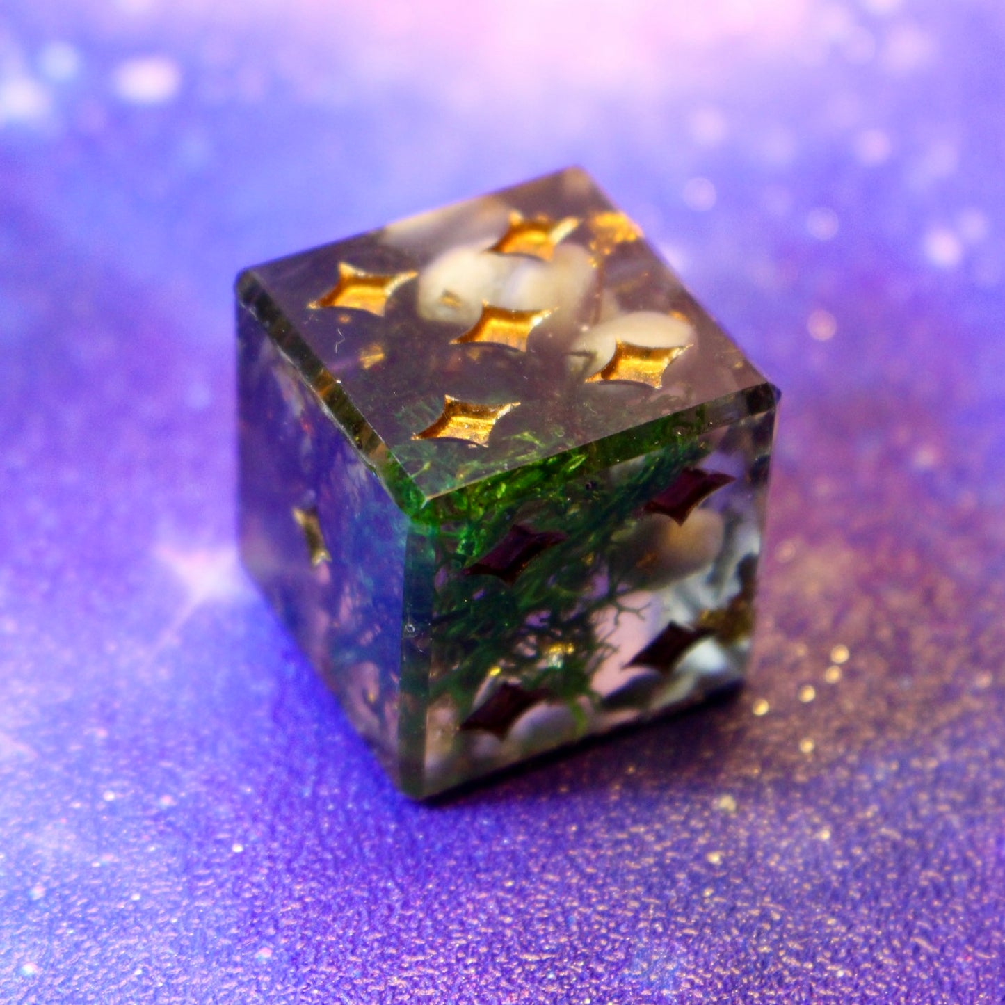 Swampy Oversized Pip D6